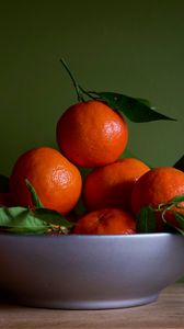 Preview wallpaper tangerines, fruits, leaves, orange