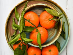 Preview wallpaper tangerines, fruits, leaves, plates