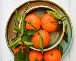 Preview wallpaper tangerines, fruits, leaves, plates