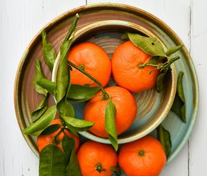 Preview wallpaper tangerines, fruits, leaves, plates