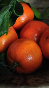 Preview wallpaper tangerines, fruits, leaves, citrus