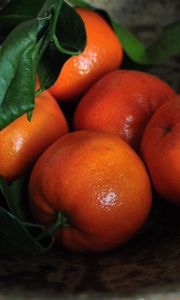 Preview wallpaper tangerines, fruits, leaves, citrus