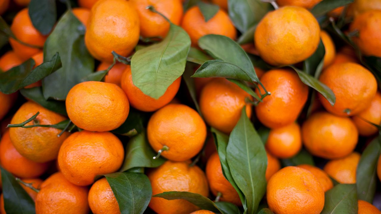 Wallpaper tangerines, fruits, leaves, citrus, orange, macro