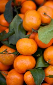 Preview wallpaper tangerines, fruits, leaves, citrus, orange, macro