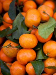 Preview wallpaper tangerines, fruits, leaves, citrus, orange, macro