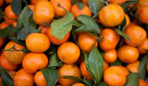 Preview wallpaper tangerines, fruits, leaves, citrus, orange, macro