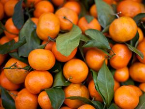 Preview wallpaper tangerines, fruits, leaves, citrus, orange, macro