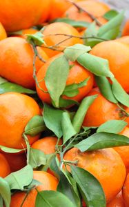 Preview wallpaper tangerines, fruits, leaves, dry