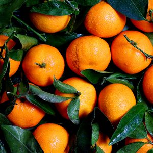 Preview wallpaper tangerines, fruits, leaves, drops, rain