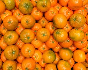 Preview wallpaper tangerines, fruits, orange, citrus