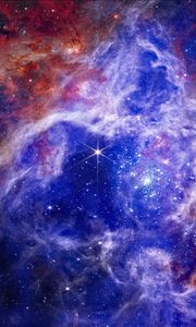 Preview wallpaper tarantula nebula, nebula, stellar, stars, space