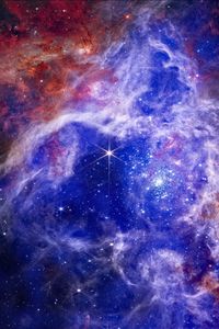 Preview wallpaper tarantula nebula, nebula, stellar, stars, space