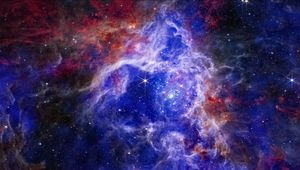 Preview wallpaper tarantula nebula, nebula, stellar, stars, space