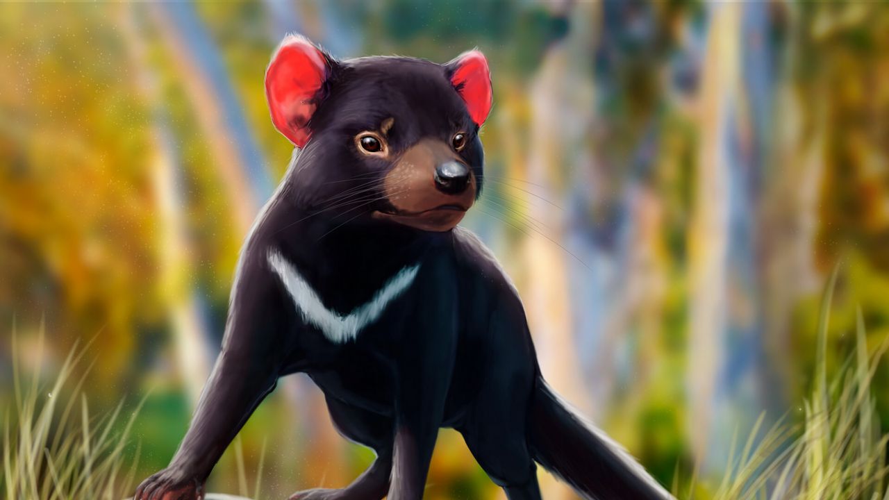 Wallpaper tasmanian devil, beast, animal, art, wildlife