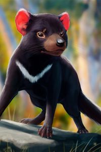 Preview wallpaper tasmanian devil, beast, animal, art, wildlife