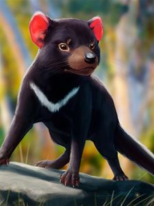 Preview wallpaper tasmanian devil, beast, animal, art, wildlife