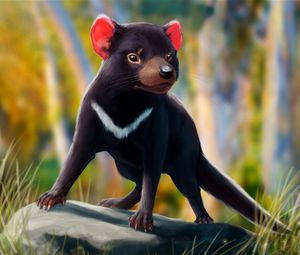 Preview wallpaper tasmanian devil, beast, animal, art, wildlife