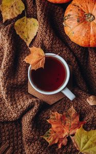 Preview wallpaper tea, cup, autumn, leaves, comfort