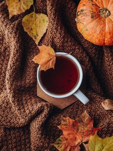 Preview wallpaper tea, cup, autumn, leaves, comfort