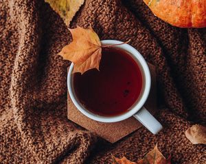 Preview wallpaper tea, cup, autumn, leaves, comfort