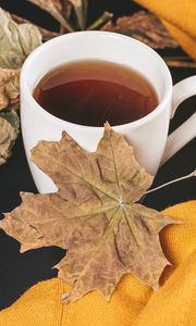 Preview wallpaper tea, cup, autumn, maple, leaves