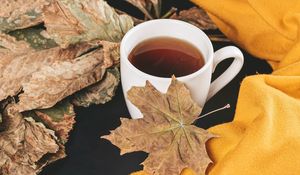 Preview wallpaper tea, cup, autumn, maple, leaves