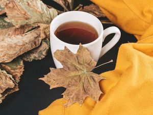 Preview wallpaper tea, cup, autumn, maple, leaves