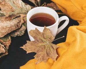 Preview wallpaper tea, cup, autumn, maple, leaves