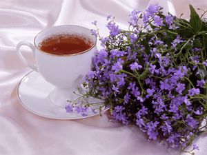 Preview wallpaper tea, cup, flowers, romance