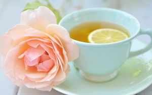 Preview wallpaper tea, cup, lemon, rose