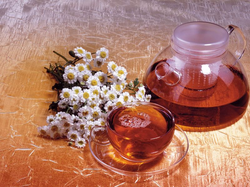 Download wallpaper 800x600 tea, drink, cup, decanter, camomile, flowers  pocket pc, pda hd background