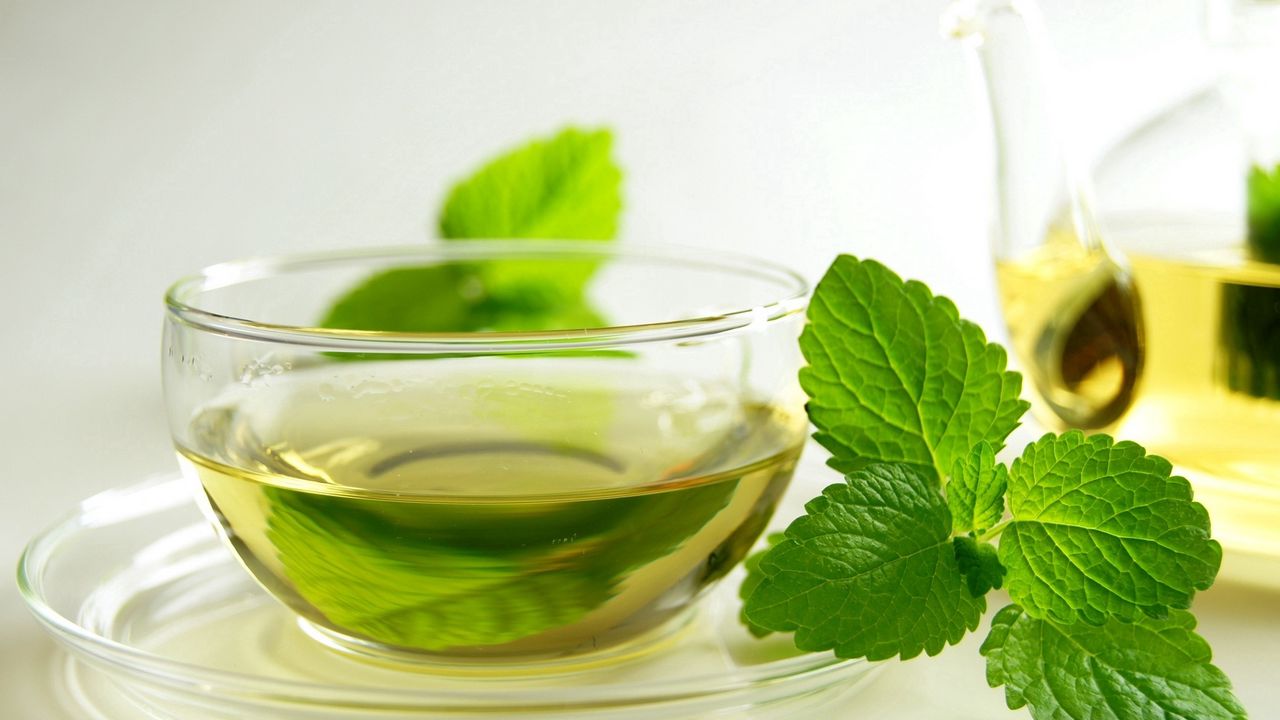 Wallpaper tea, green, leaves, mint