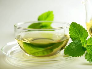 Preview wallpaper tea, green, leaves, mint