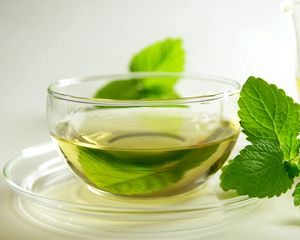 Preview wallpaper tea, green, leaves, mint