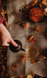 Preview wallpaper tea, kettle, autumn, hand, picnic