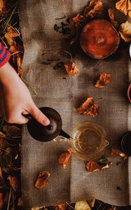 Preview wallpaper tea, kettle, autumn, hand, picnic