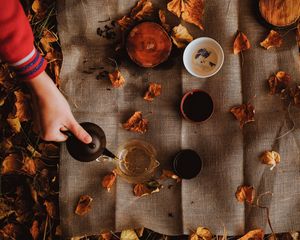 Preview wallpaper tea, kettle, autumn, hand, picnic