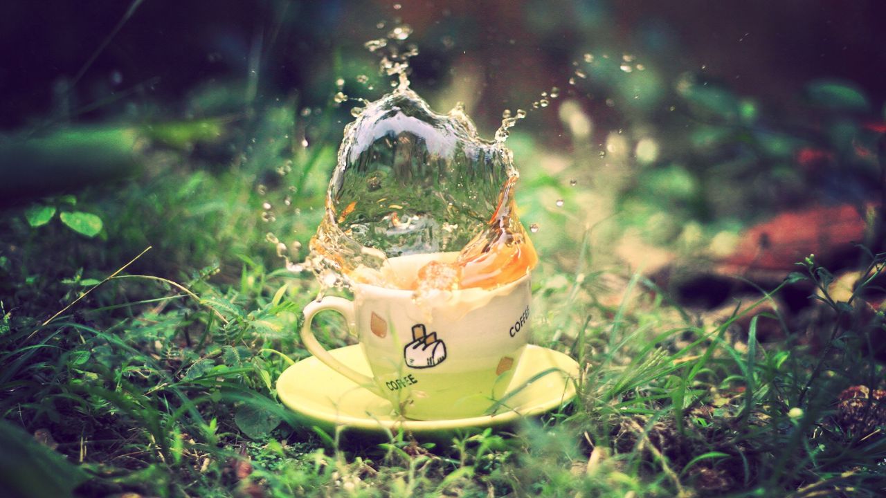 Wallpaper tea, spray, earth, grass, saucer, green, cup
