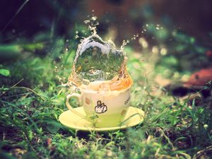 Preview wallpaper tea, spray, earth, grass, saucer, green, cup