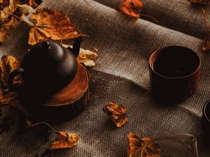 Preview wallpaper teapot, autumn, leaves, cloth