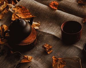 Preview wallpaper teapot, autumn, leaves, cloth