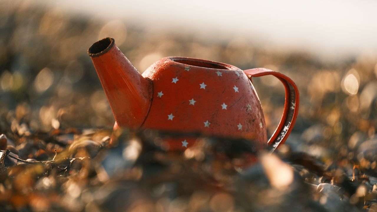 Wallpaper teapot, old, leaves, blur, macro