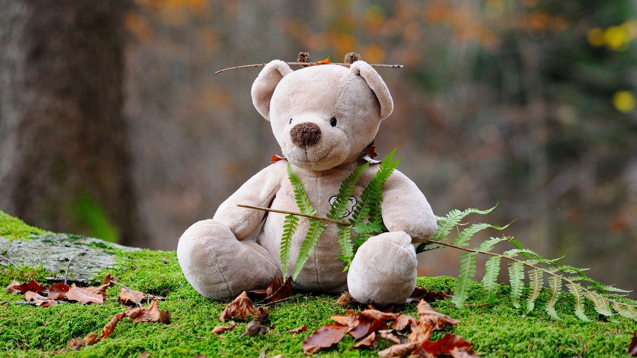 Wallpaper teddy bear, bear, toy, grass