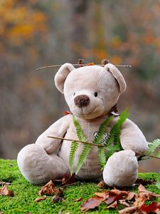 Preview wallpaper teddy bear, bear, toy, grass