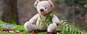 Preview wallpaper teddy bear, bear, toy, grass