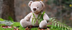 Preview wallpaper teddy bear, bear, toy, grass