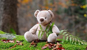 Preview wallpaper teddy bear, bear, toy, grass