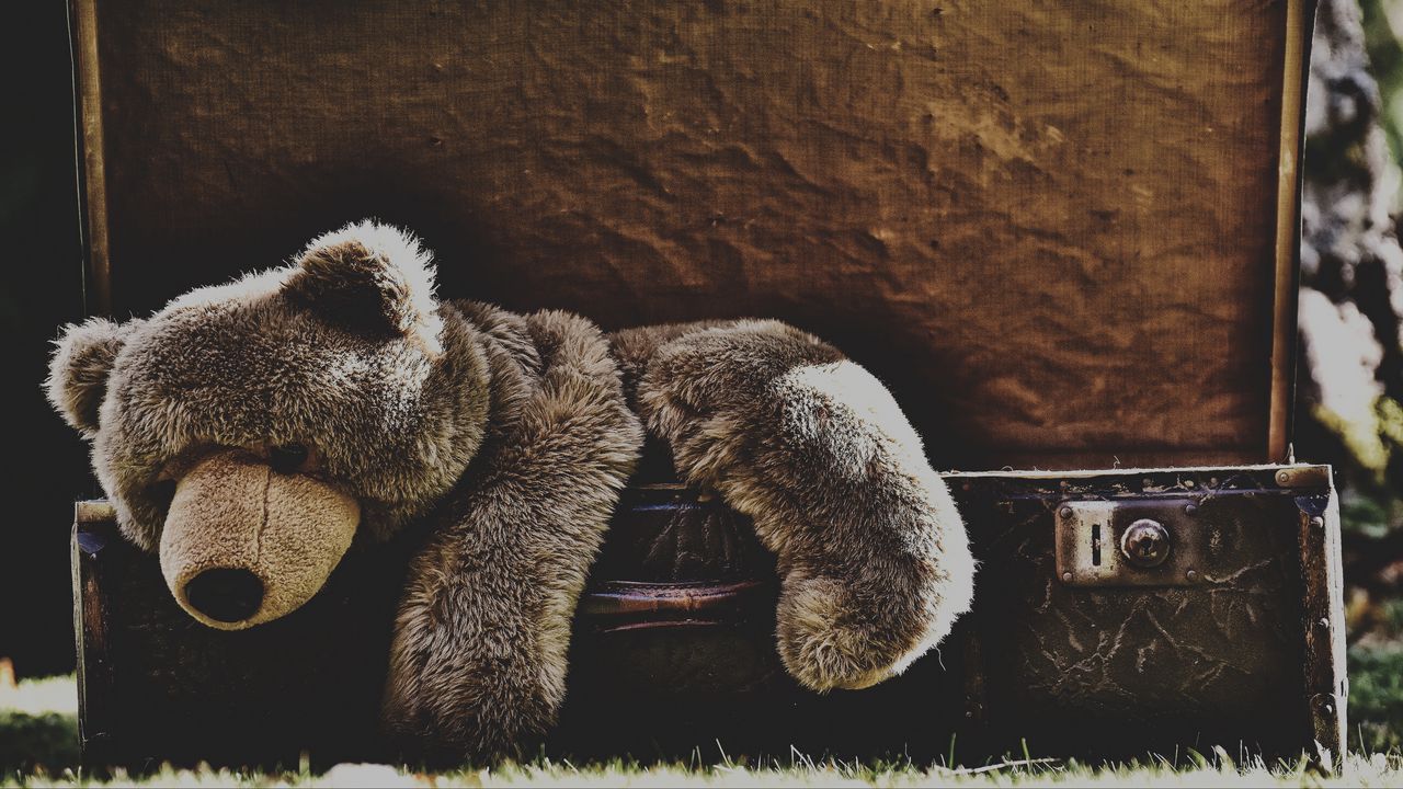 Wallpaper teddy bear, bear, toy, sadness, suitcase