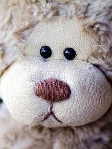 Preview wallpaper teddy bear, face, head, flashing, toy