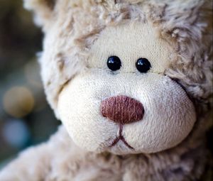 Preview wallpaper teddy bear, face, head, flashing, toy